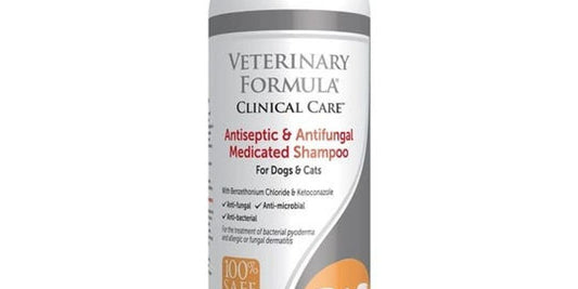 dog with chlorhexidine wipes