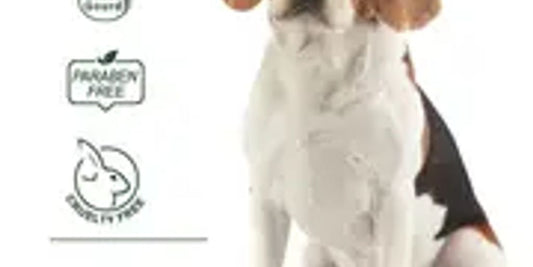 dog chewing repellent