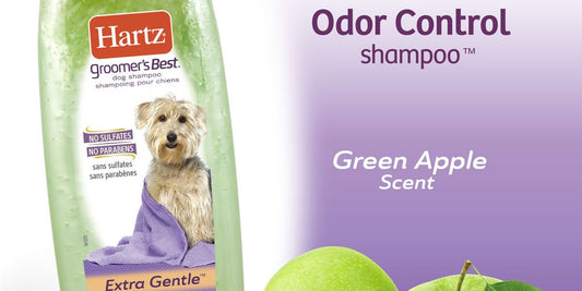 dog shampoo