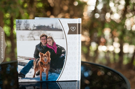 Fight Germs on the Go: The Best Antibacterial Wipes for Your Furry Friend's Quick Cleanups