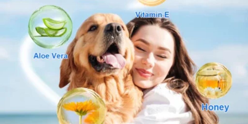 dog with hot spot spray
