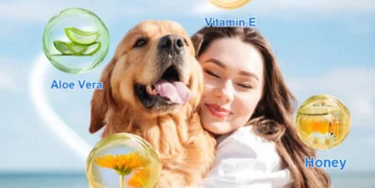 dog with hot spot spray