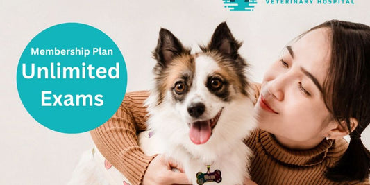 veterinarian wellness plan