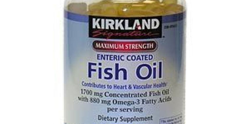 dog with fish oil
