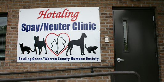 dog health certificate travel veterinarian office