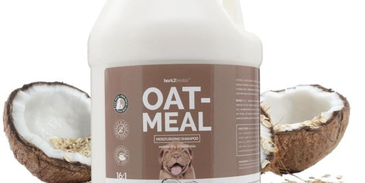 oatmeal dog shampoo