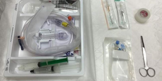 dog using chlorhexidine wipes grooming hygiene