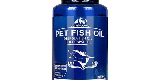 dog with fish oil