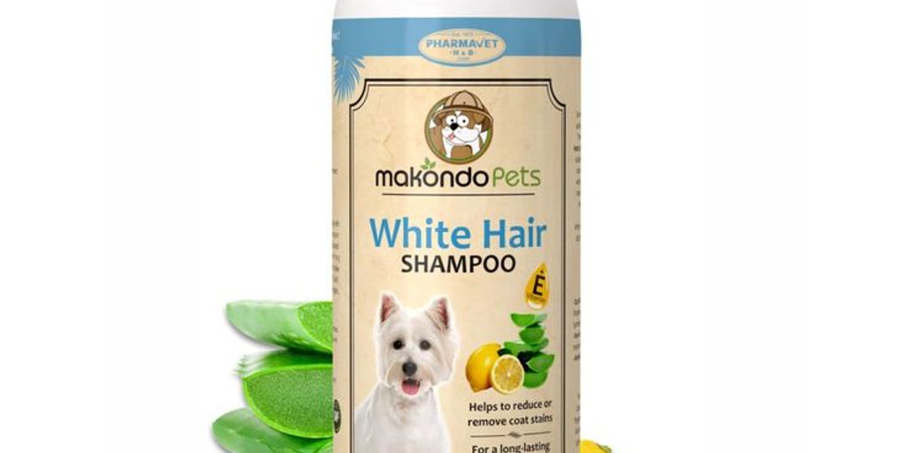white dog shampoo