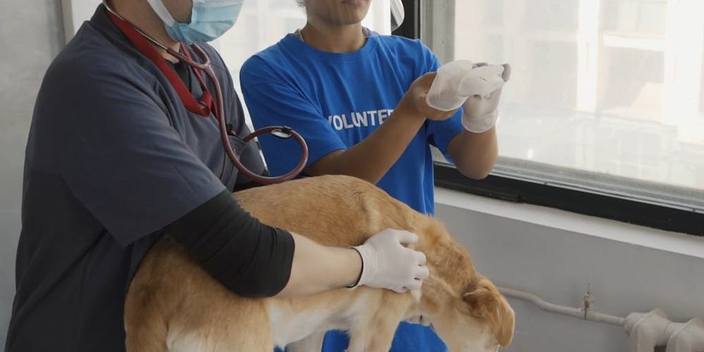 veterinarian with puppy