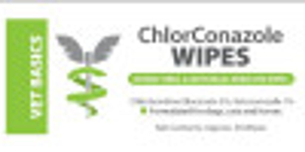 dog with chlorhexidine wipes