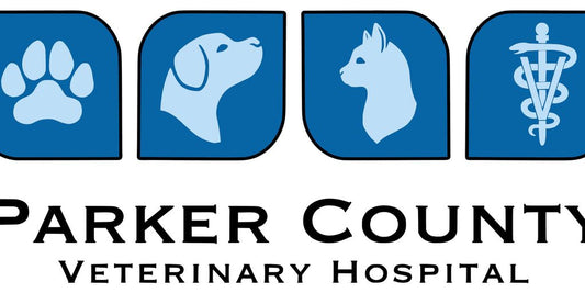 veterinarian clinic