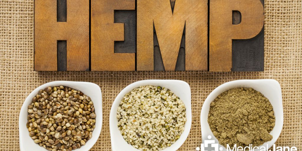 dog with hemp chews