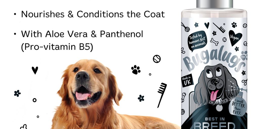 dog cologne