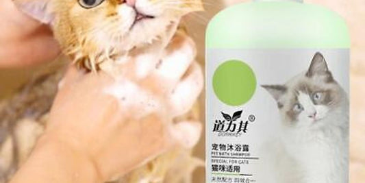 dog being bathed with shampoo