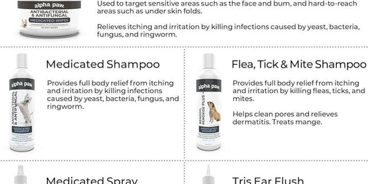 dog with chlorhexidine wipes
