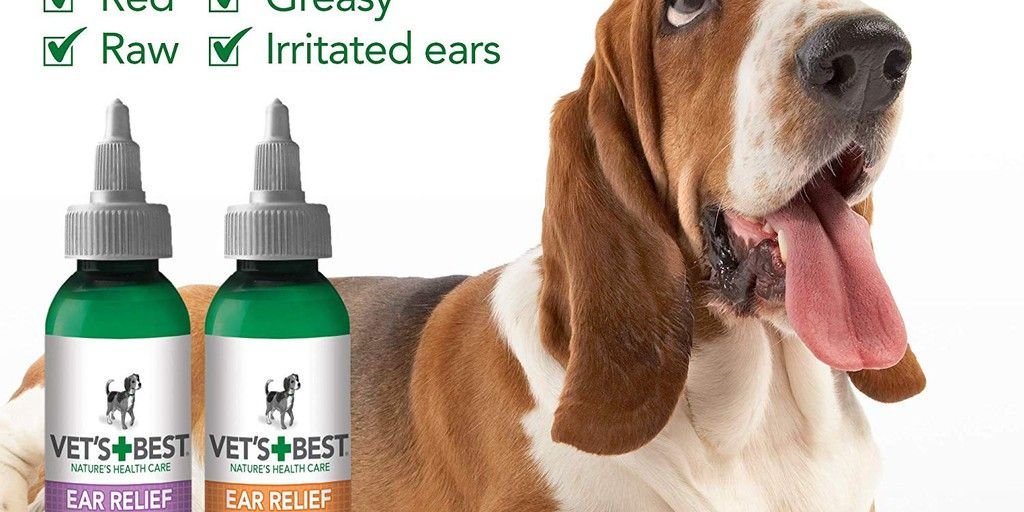 dog ear cleaning solution
