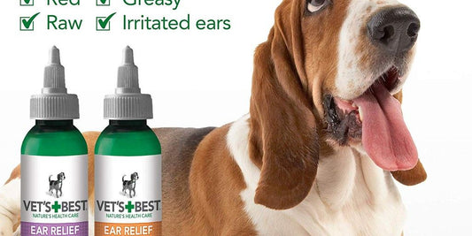 dog ear cleaning solution