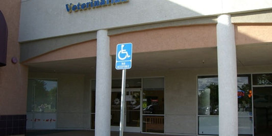 veterinarian wellness plan pet care