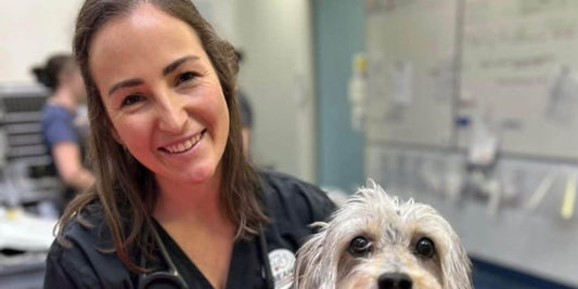 veterinarian giving advice to pet owner