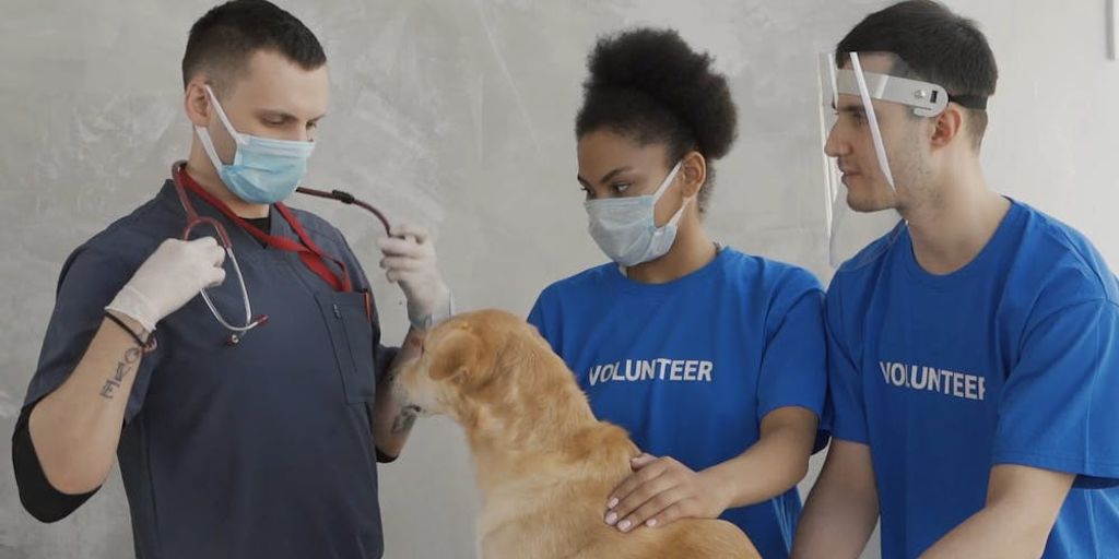 puppy vet visit care new owners