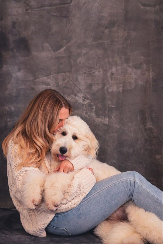 Pets Best Friend: Celebrating the Unbreakable Bond Between Humans and Their Furry Companions