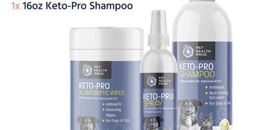 dog anal gland supplement