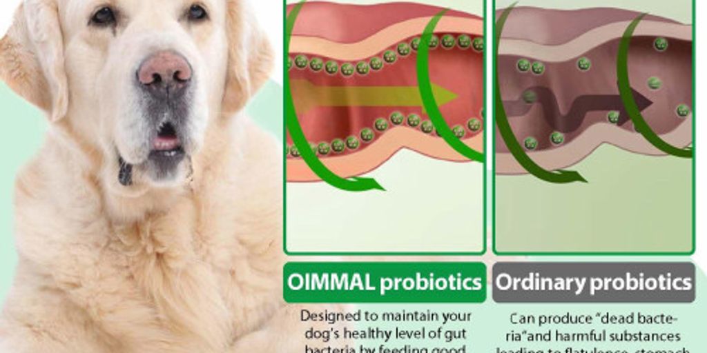 dog probiotics