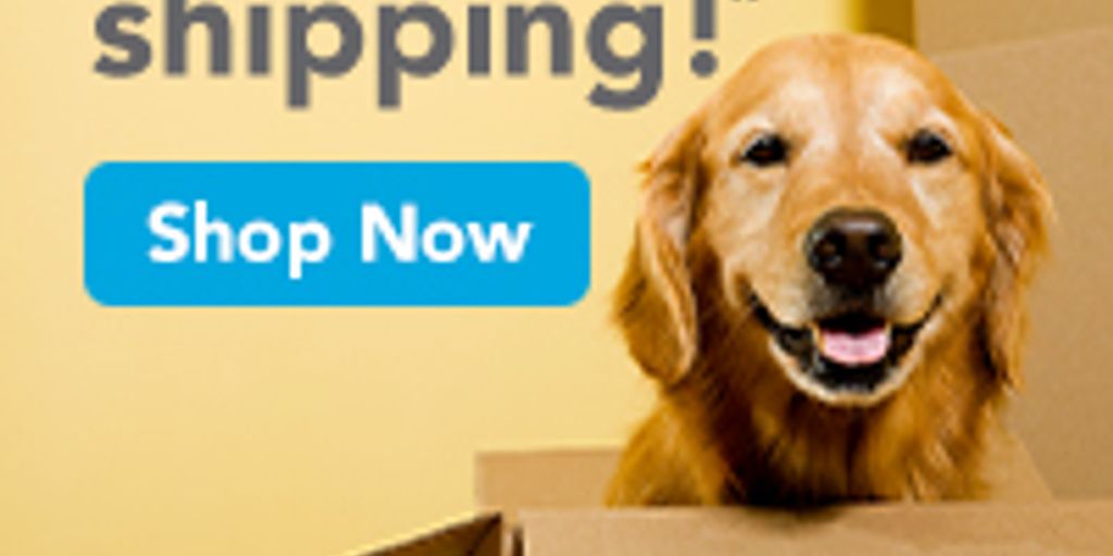 online vet store products