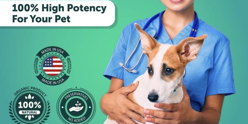 dog eating hemp chews