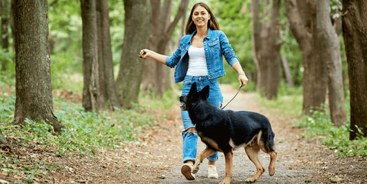 dog joint supplement