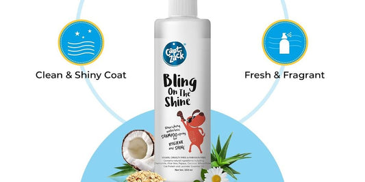 dog shampoo