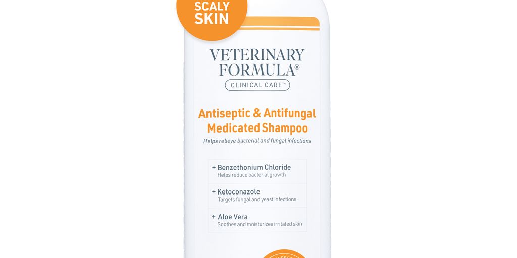 dog with antifungal shampoo