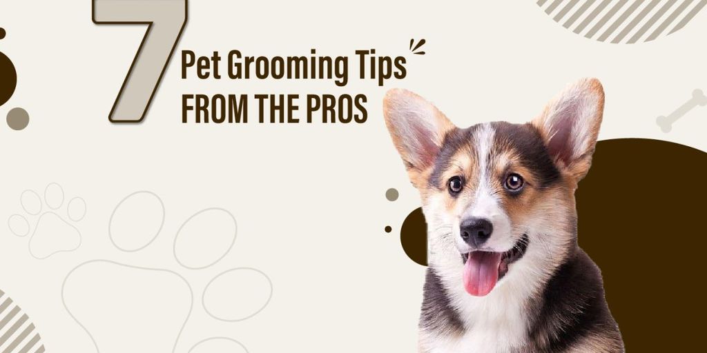 dog grooming