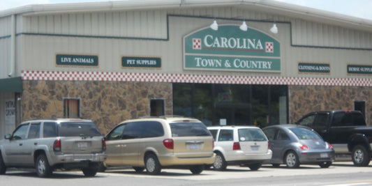 affordable vet clinic