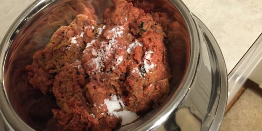 dog probiotics