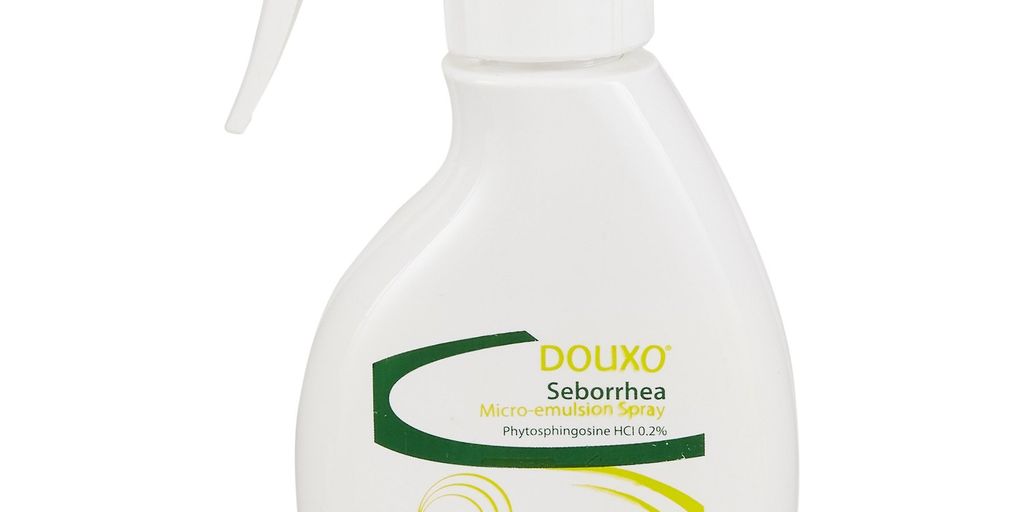 dog with chlorhexidine wipes
