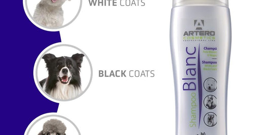 white dog shampoo