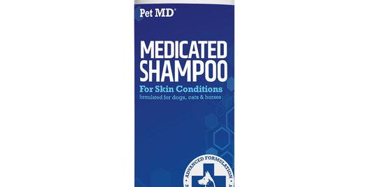 dog shampoo antifungal