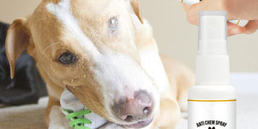 dog chewing repellent