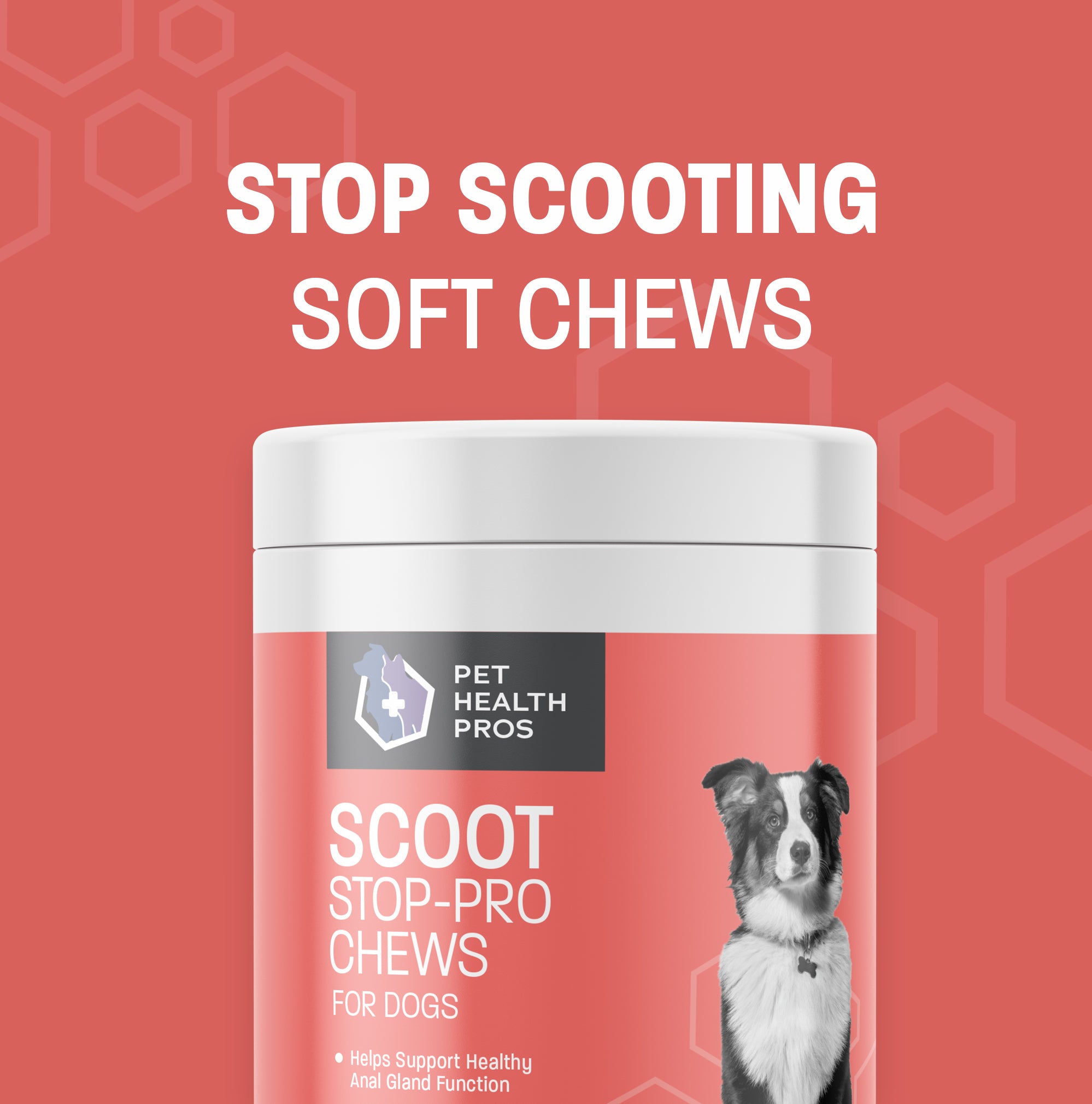 Scoot Stop-Pro Soft Chews for Dogs - Bowel Function Support