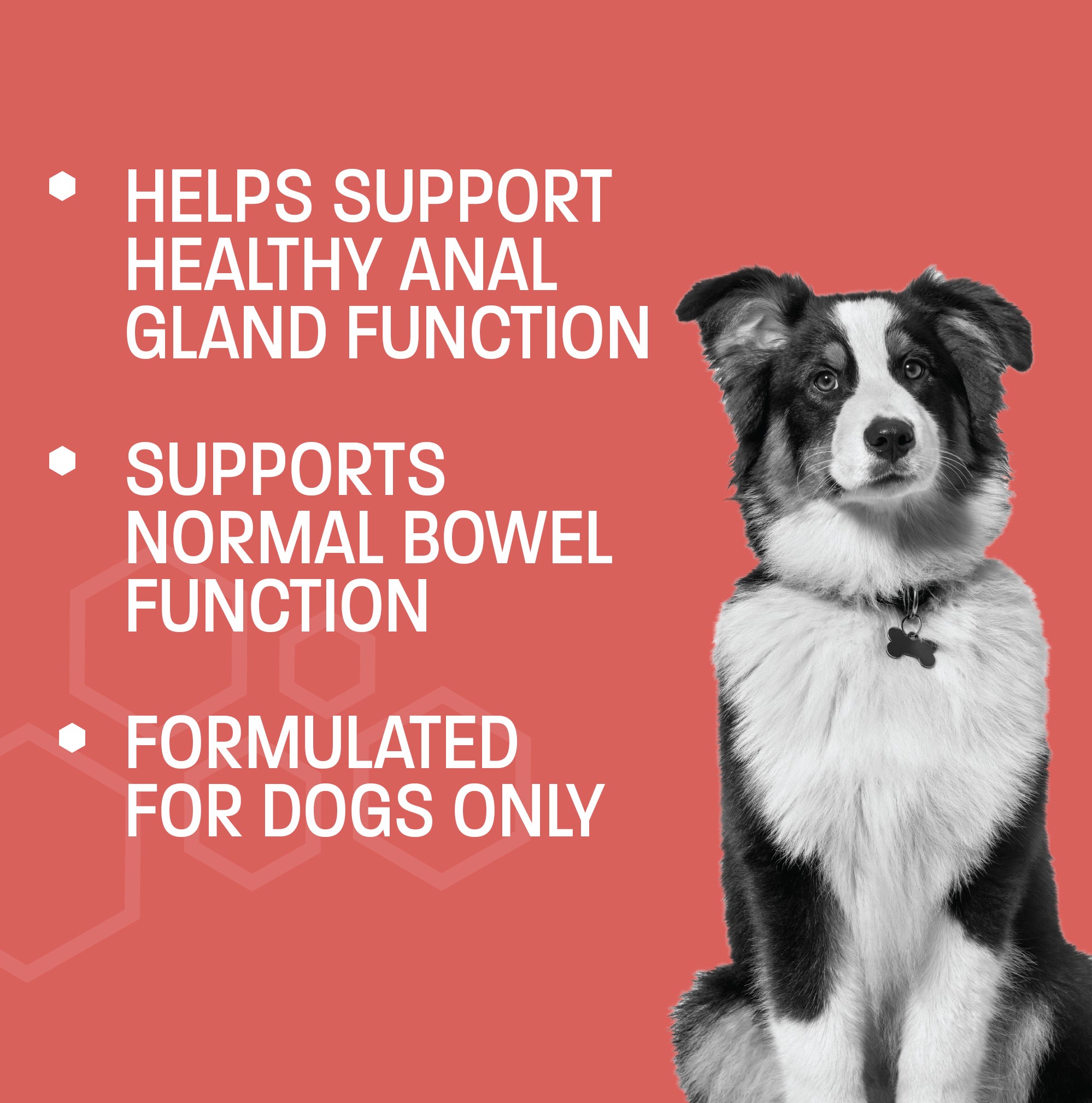 Scoot Stop-Pro Soft Chews for Dogs - Bowel Function Support