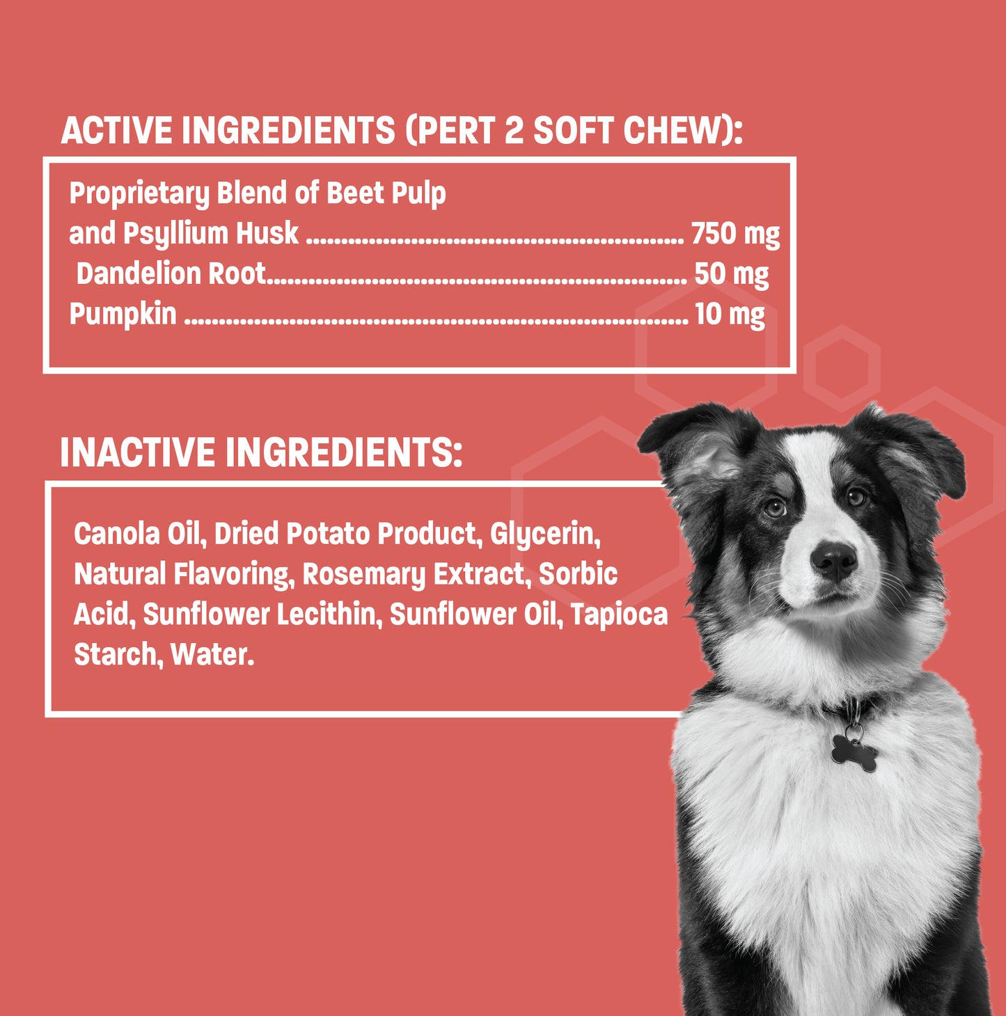 Scoot Stop-Pro Soft Chews for Dogs - Bowel Function Support