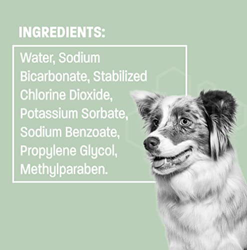 Cat & Dog Water Additive for Dental Care