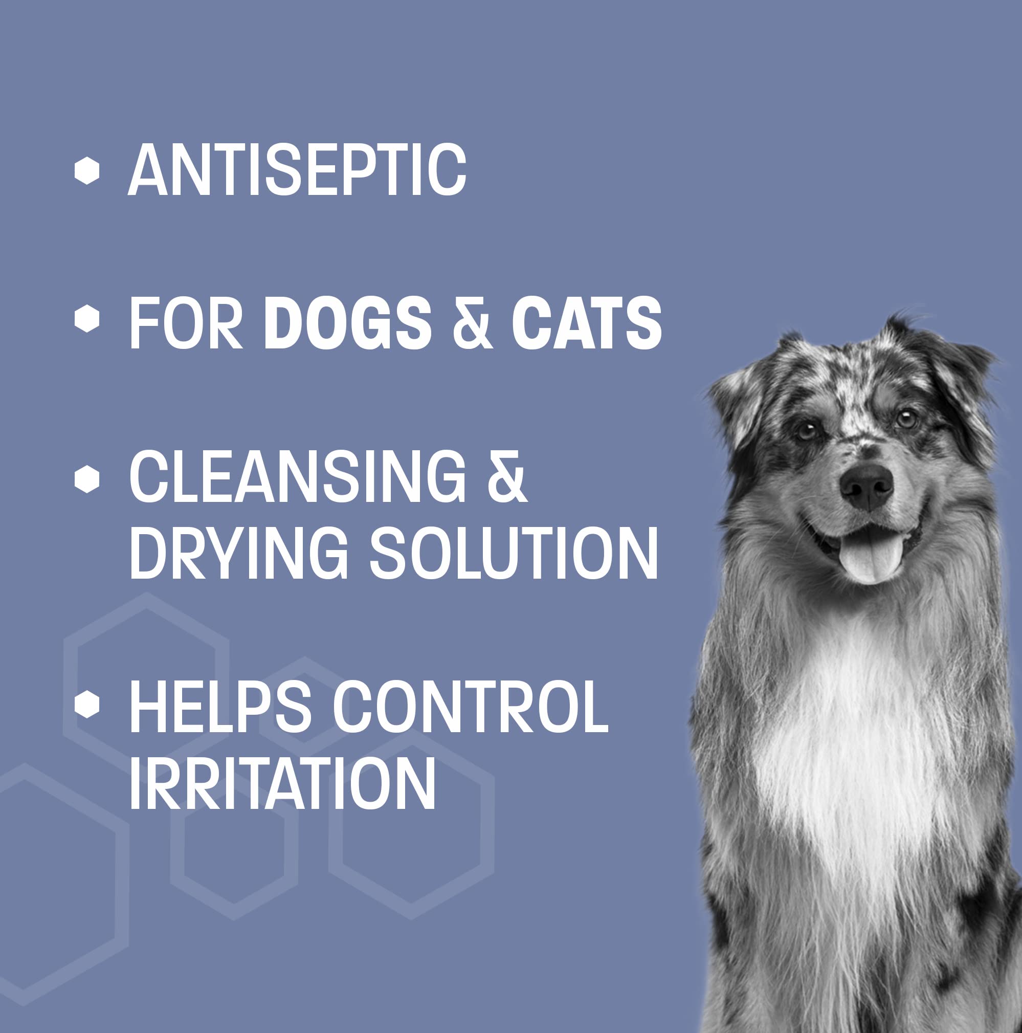 Antiseptic Flush for Cat & Dog Itch Relief
