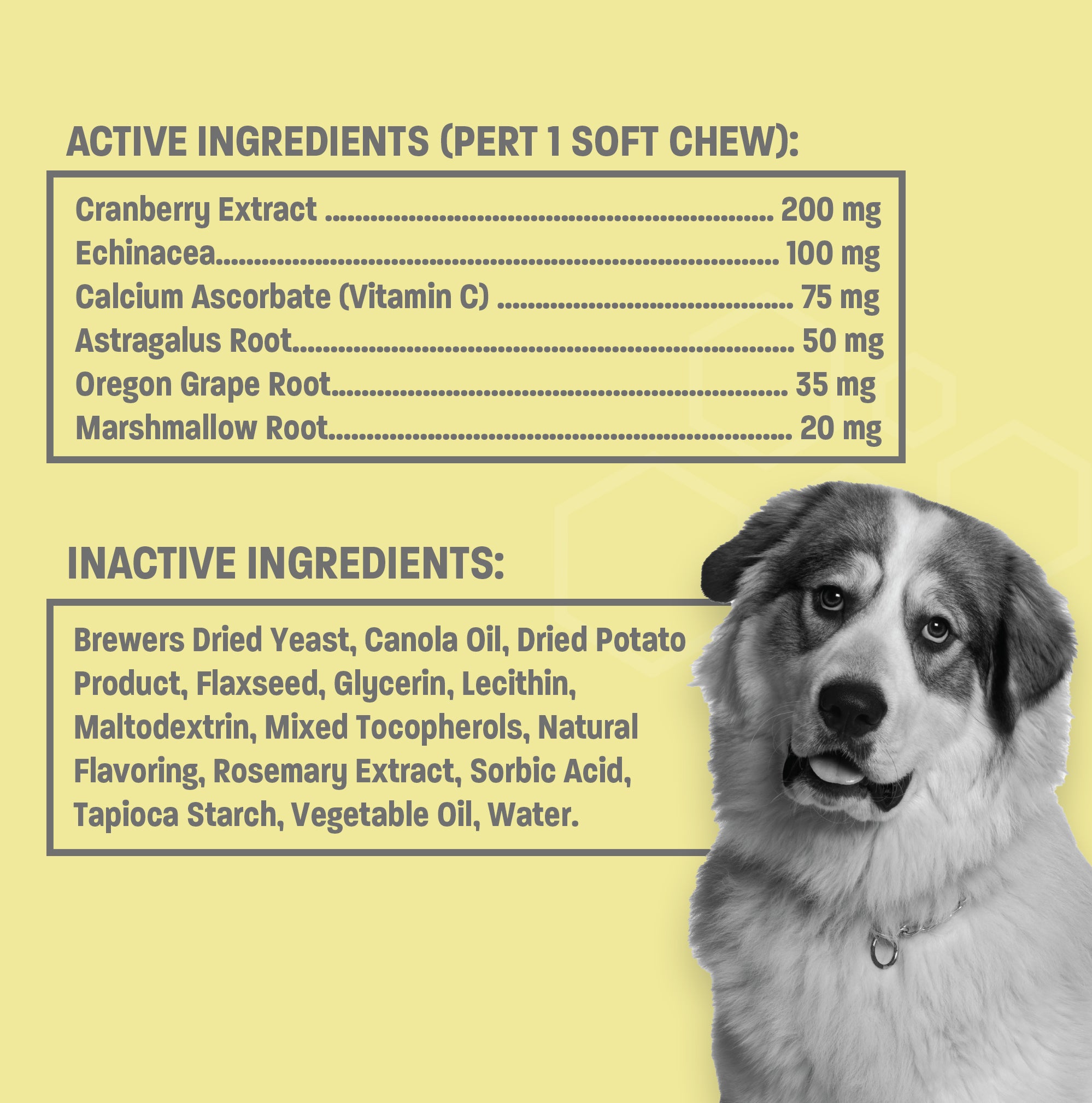 Urinary Tract Health Pro Chews for Dogs