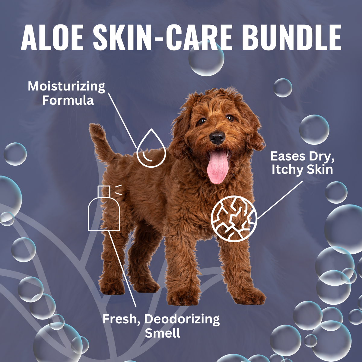 Aloe Skin Care Bundle
