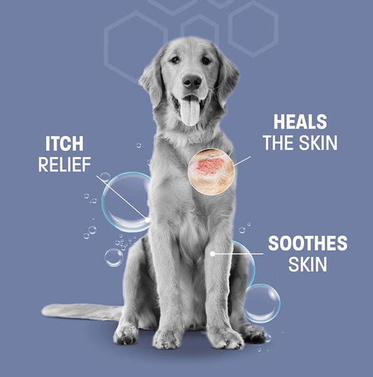 Anti-Fungal Dog Shampoo for Itchy Skin