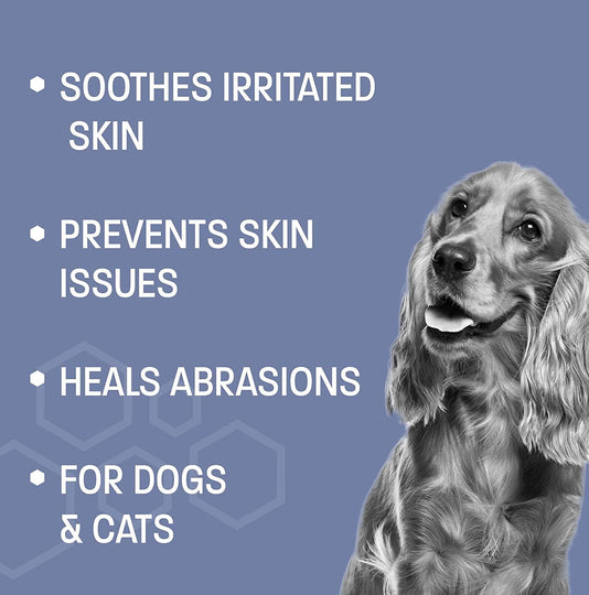 Anti-Fungal Dog Shampoo for Itchy Skin