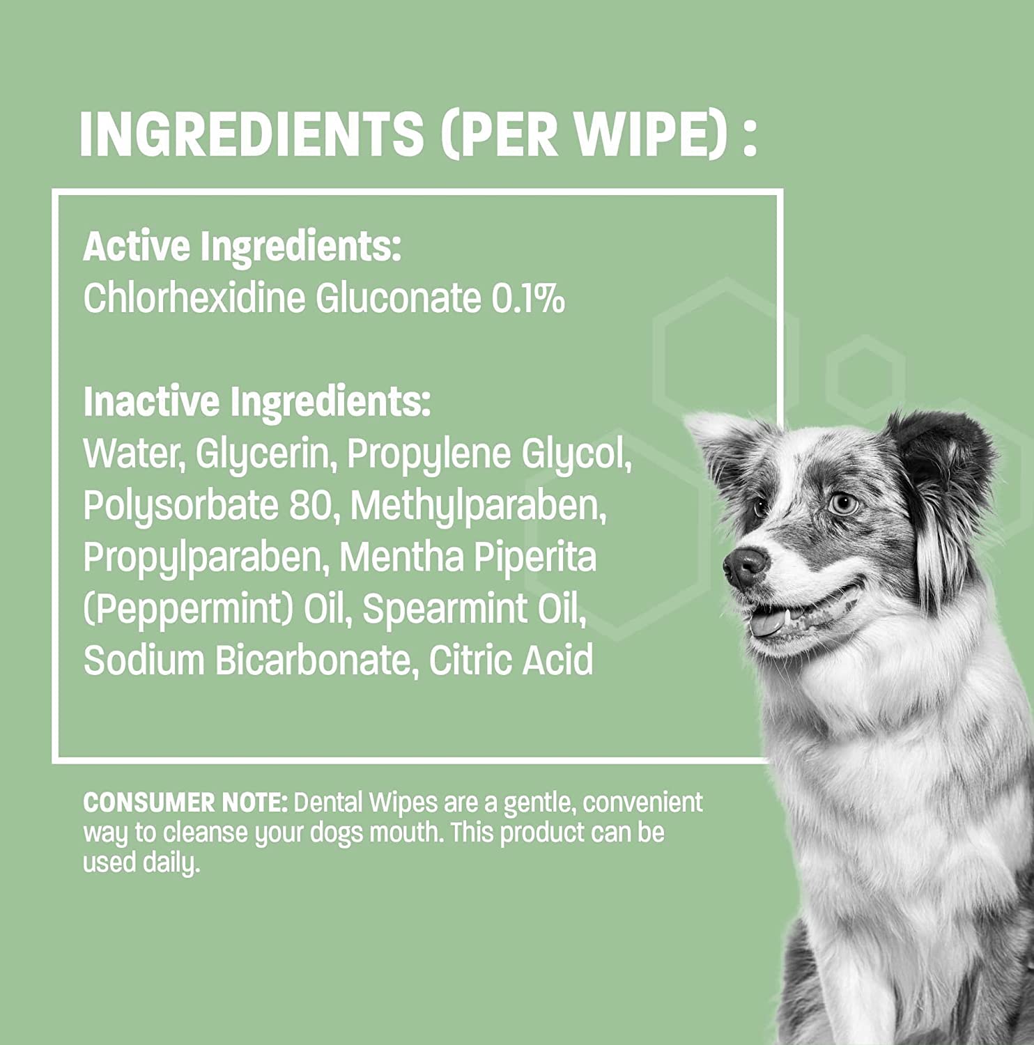 Dental Wipes for Dogs Teeth and Cats